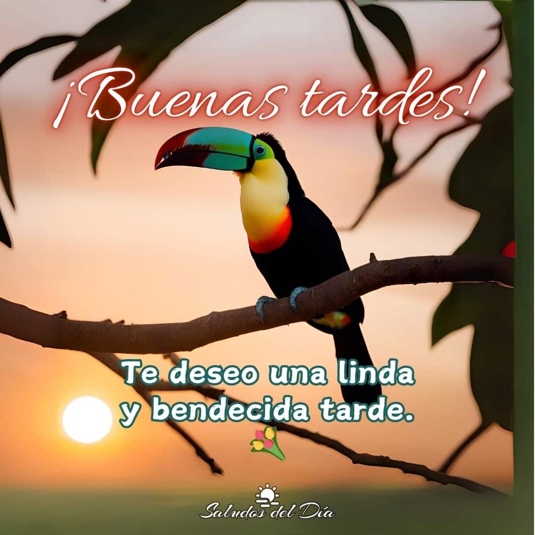 Buenas tardes