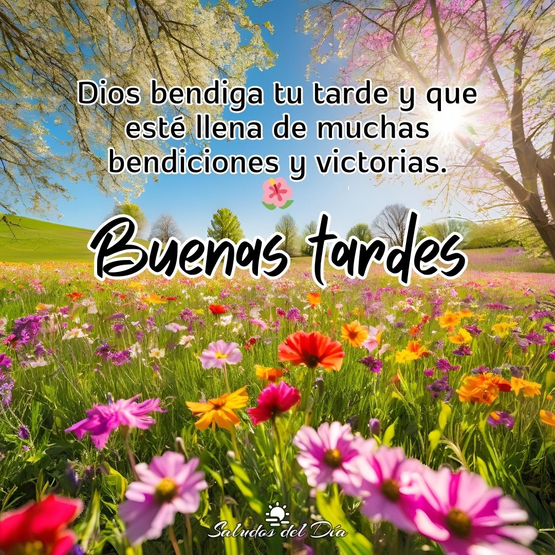 Buenas tardes