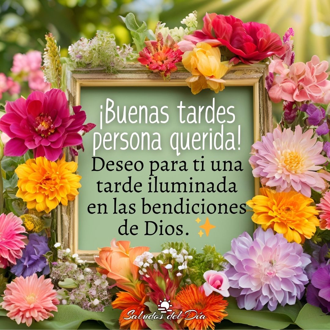 Tarde iluminada