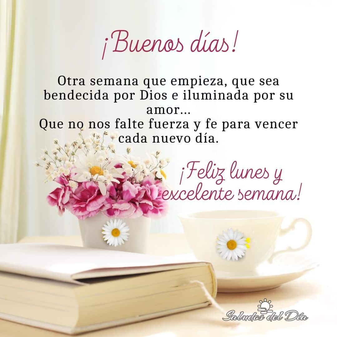 Feliz lunes y excelente semana