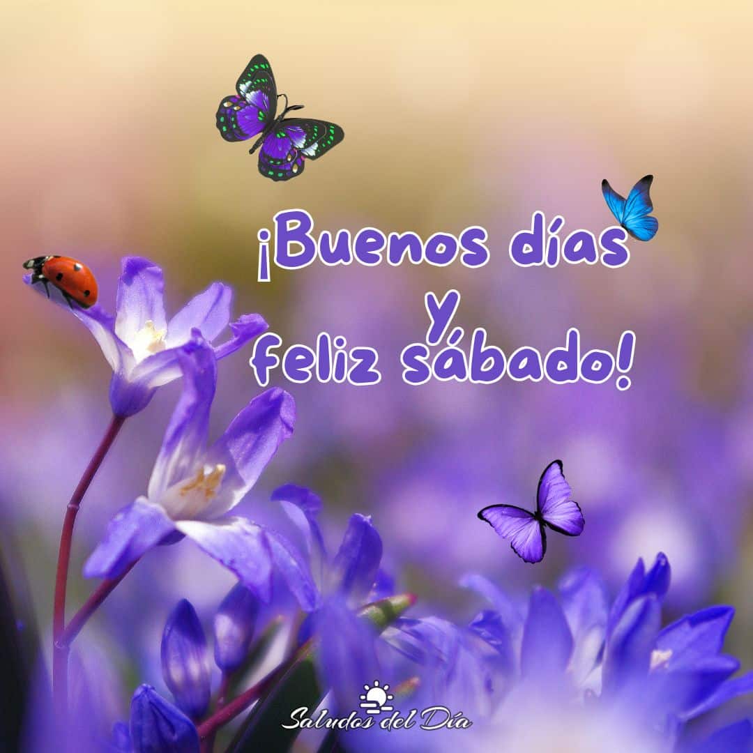 Buenos días y feliz sábado