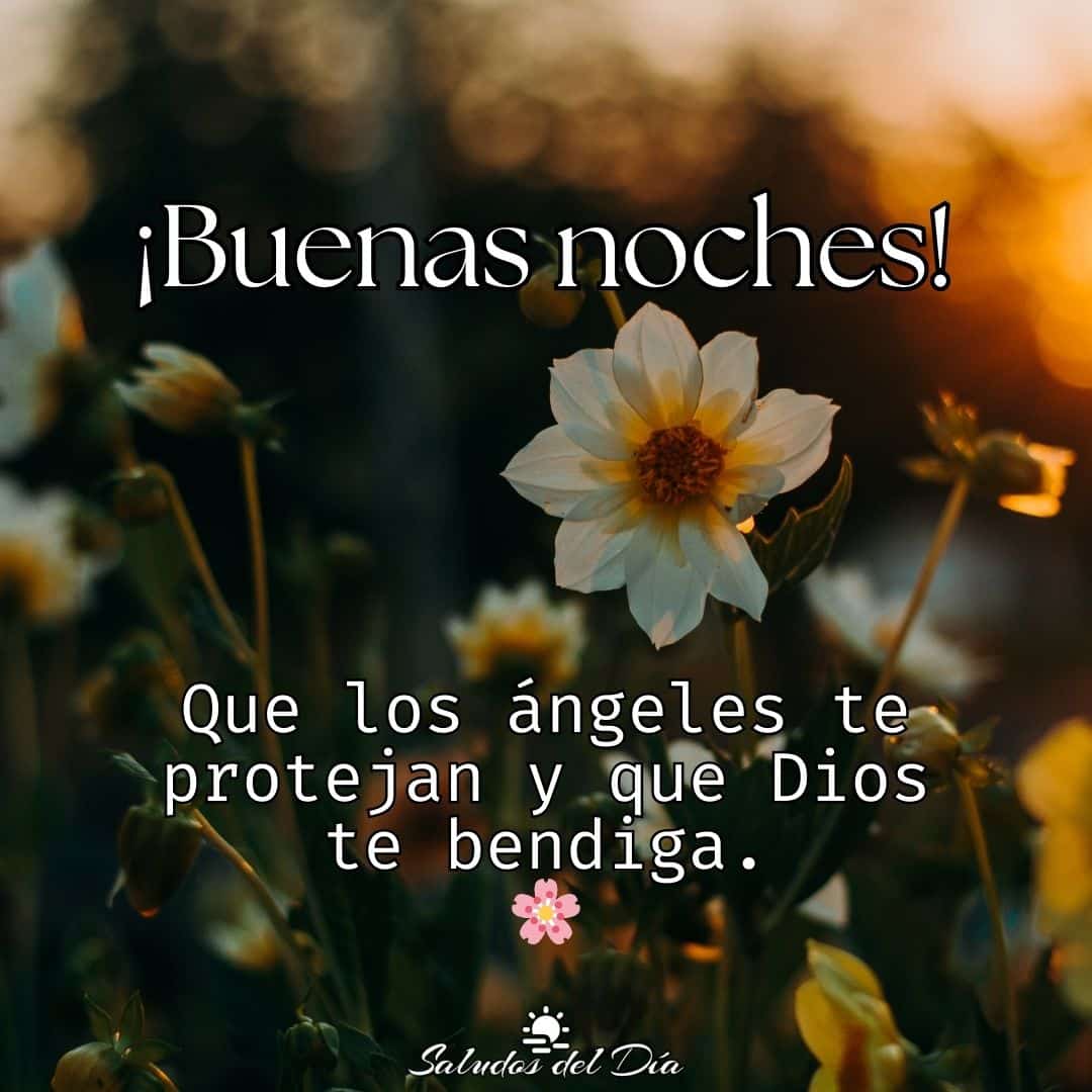 Buenas noches